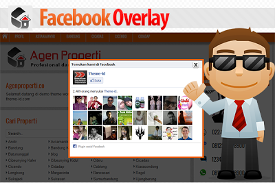 Facebook Overlay 